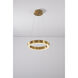 Canada LED 16 inch Gold LED Chandelier Ceiling Light